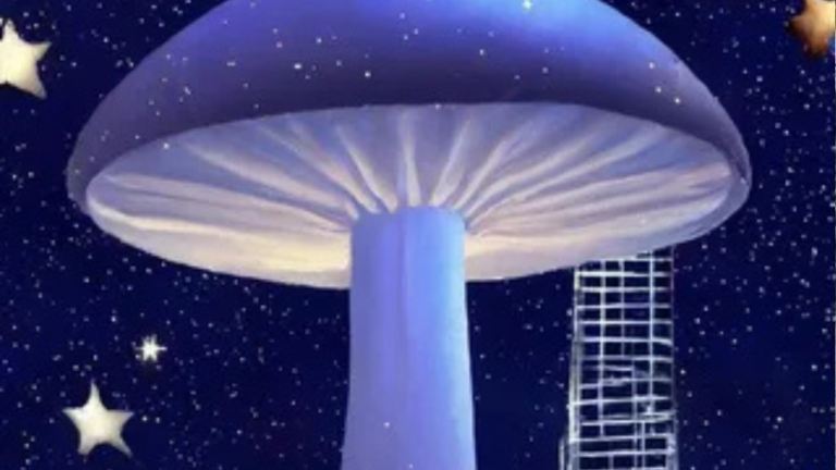 shroomspace